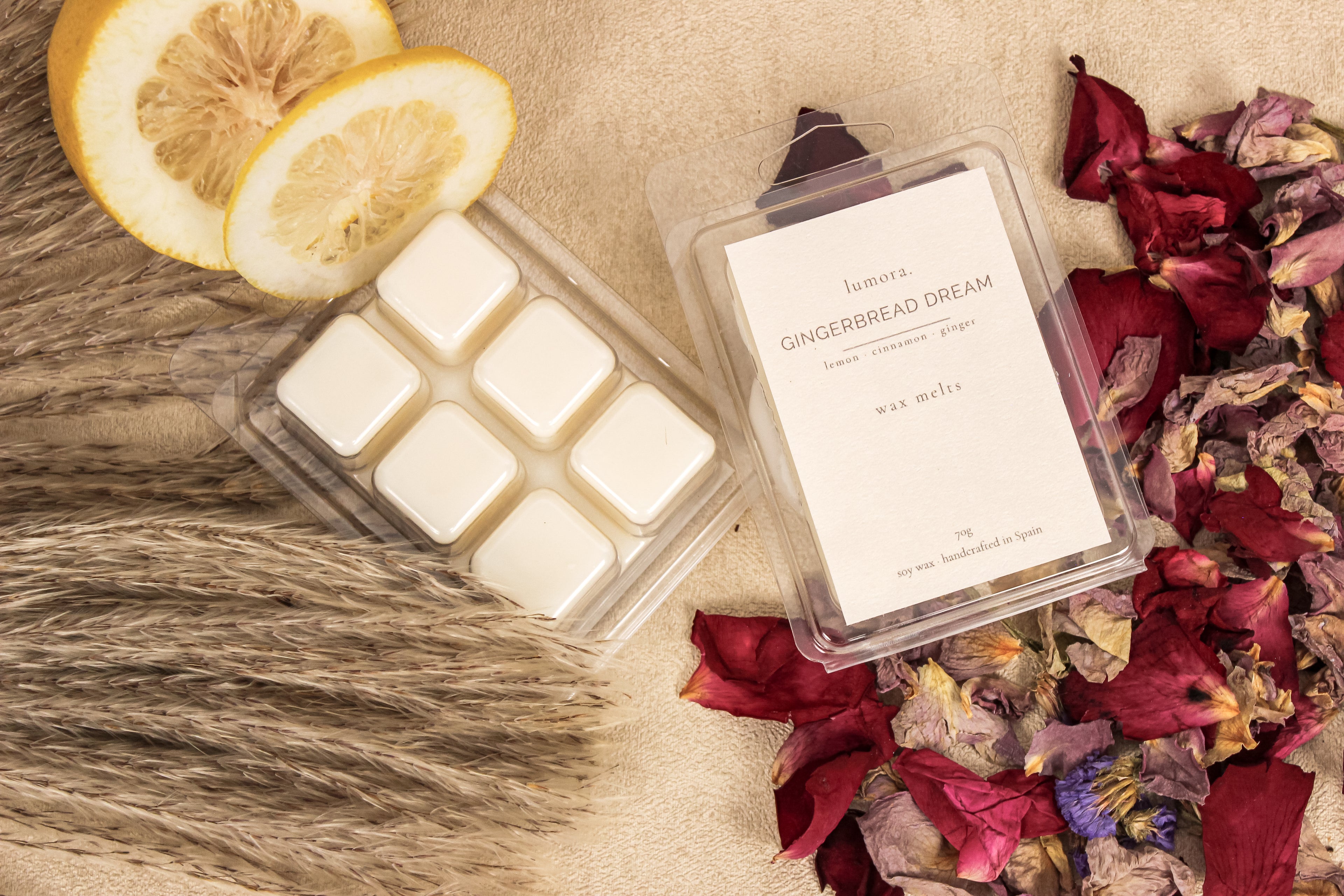 GINGERBREAD DREAM · wax melts